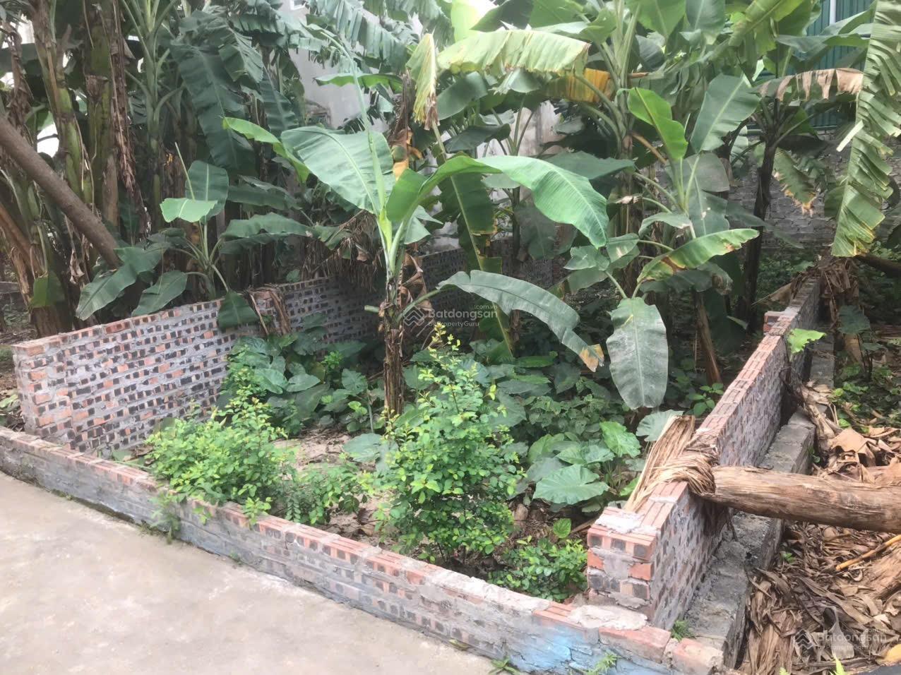  bán mảnh đất tại vạn 2 xã Vạn Phúc Thanh Trì Hà Nội. Ô tô đỗ cửa, 50m2 giá 2.3 tỷ