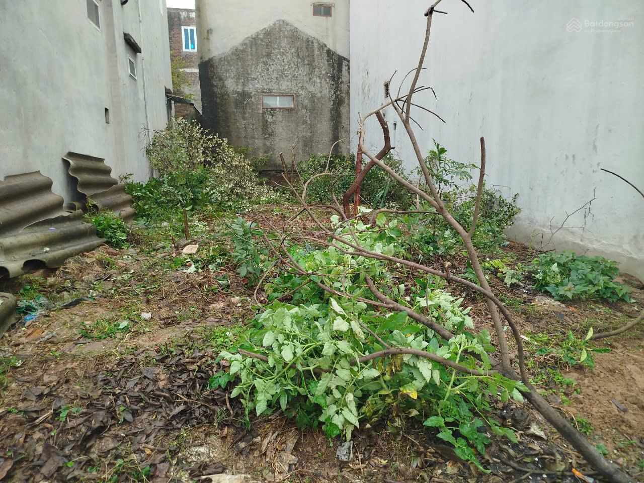 68,5m2 Đất Yên Mỹ 6,7 tỷ đối diện hồ nước Cách trục đường chính 10m