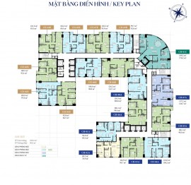 Mặt bằng căn hộ BlueGem Tứ Hiệp